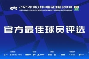 中超第17轮最佳候选:韦斯利、米特里策、拉布亚德等5名外援