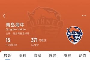 海牛夏窗汇总:新签外援兰克尔-泽,租借张弛、买乌郎、孙正傲